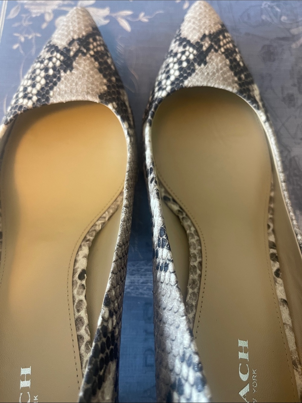 COACH Snake-Print Pointed Toe Pumps in Beige and Black - Picture 5 of 7